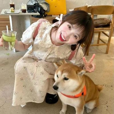 军犬麦克斯2:白宫英雄
